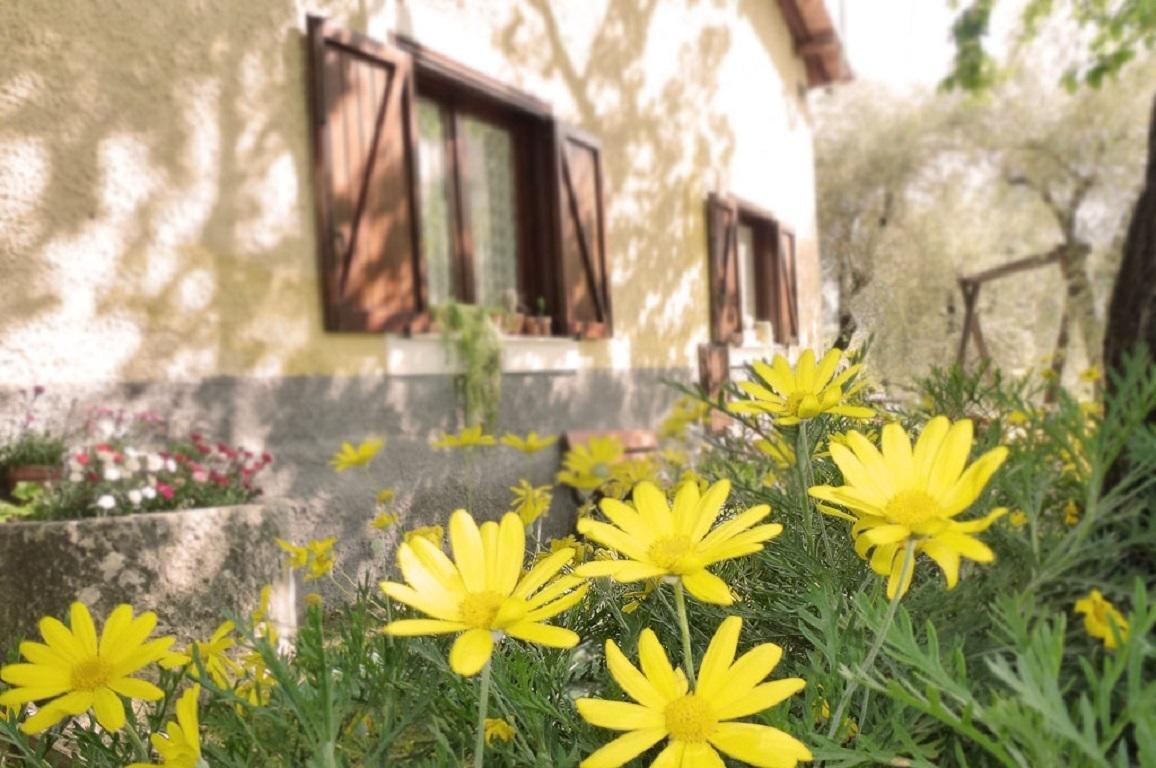 Agriturismo Macchiapiede 萨拉孔西利纳 外观 照片